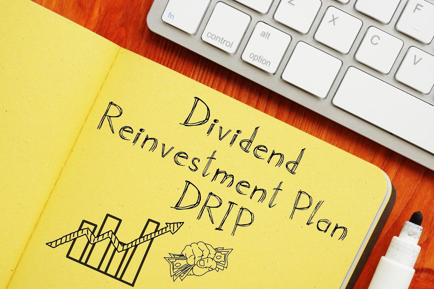 dividend reinvestment plan